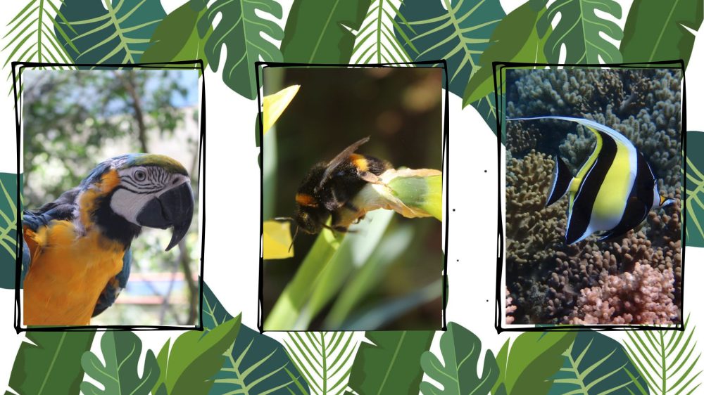 University of Glasgow Zoological Society